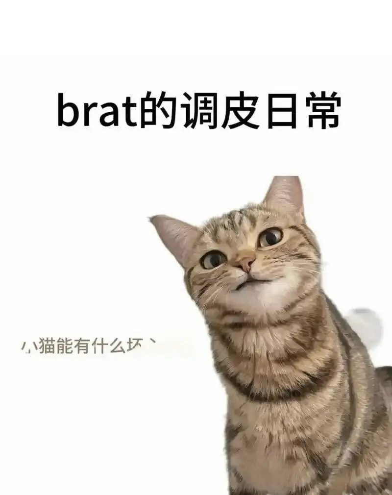 【西檬之家】字母圈新人入圈指南：读懂术语与SSC原则
