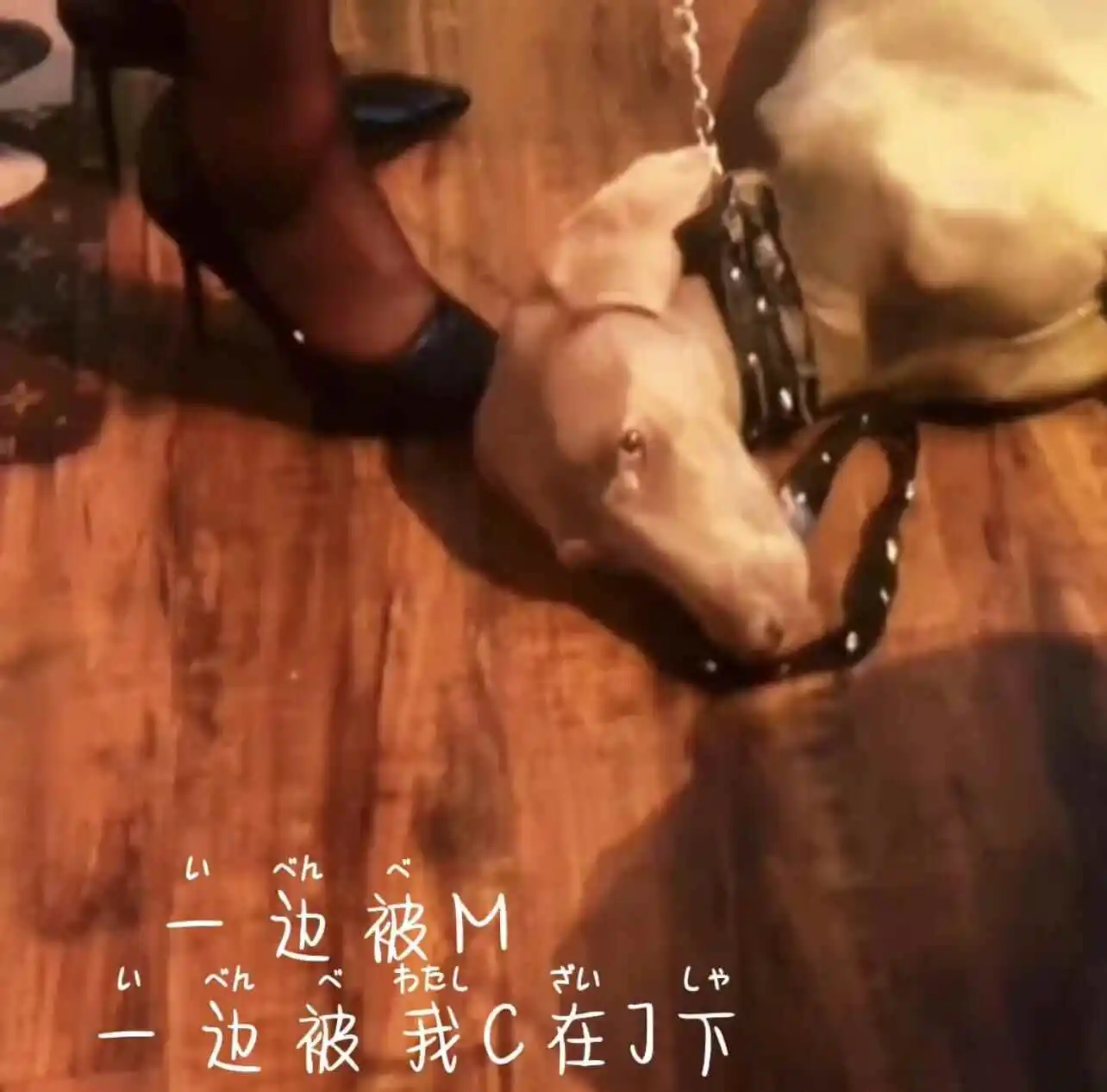 西檬之家-字母圈踩足玩的具体玩法解析
