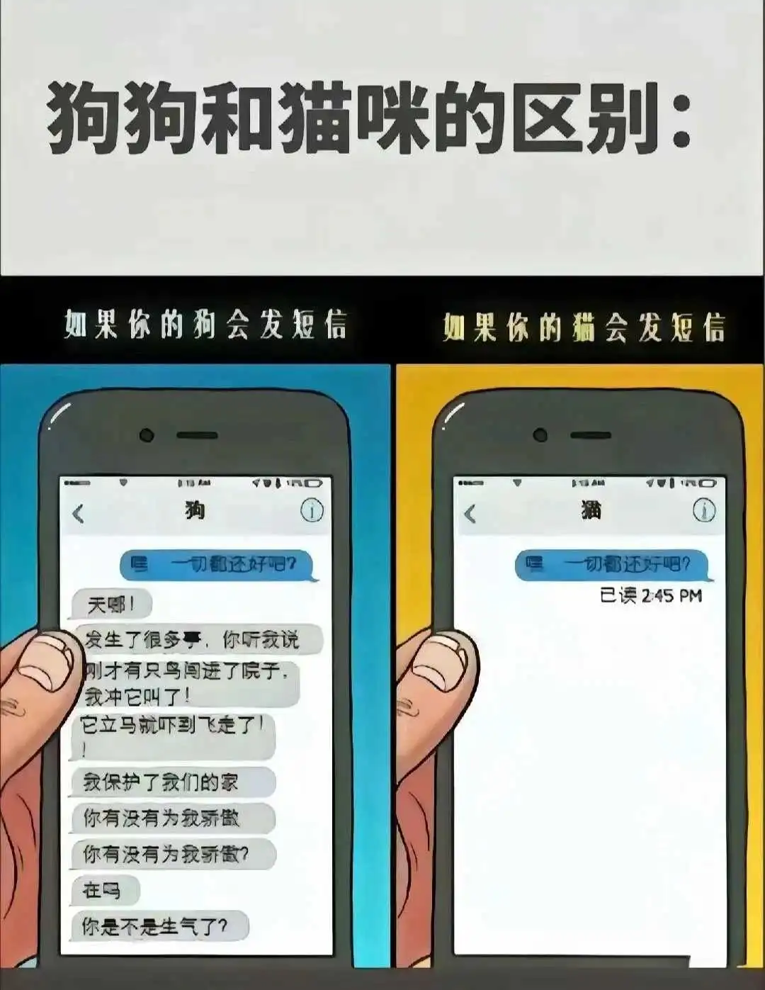 k8猫系 - 微信图片_20250713011414