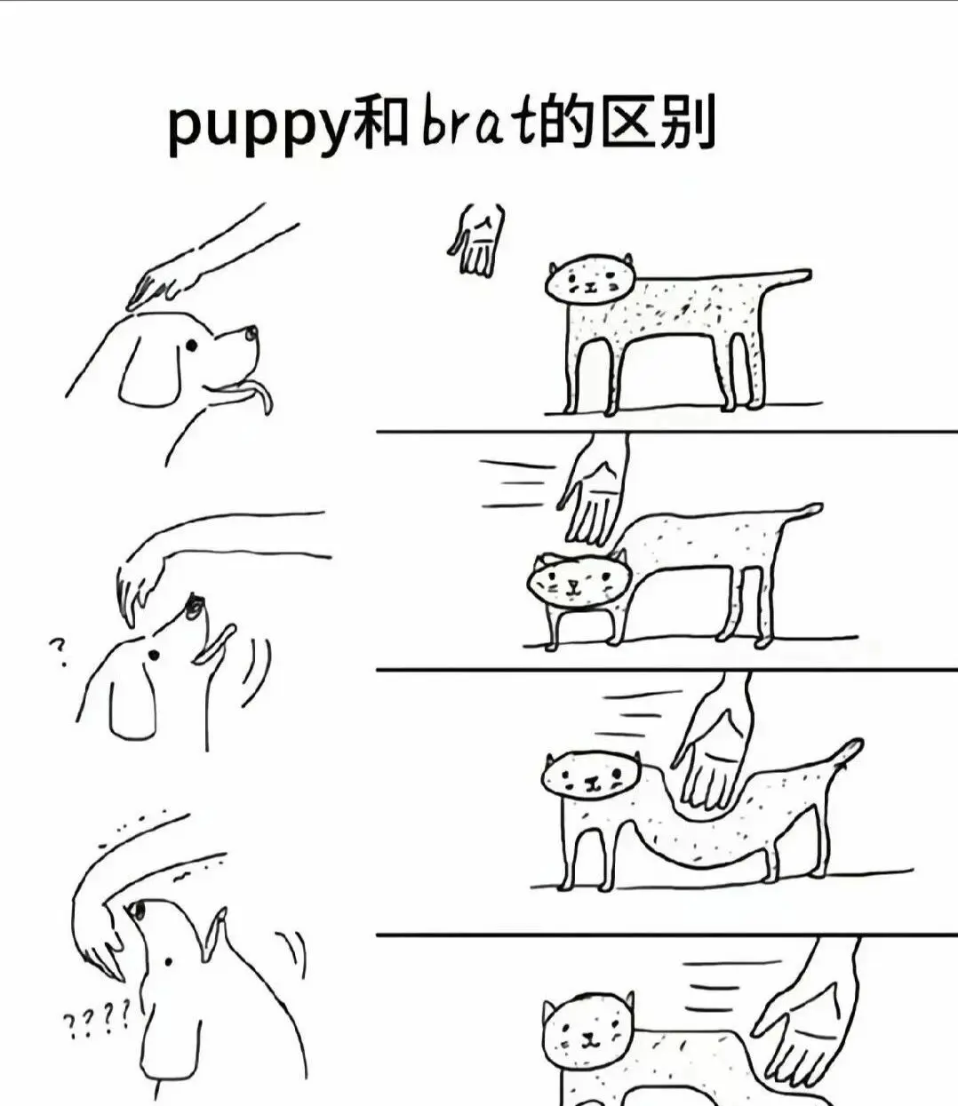 西檬之家-字母圈TK：挠痒痒背后的信任游戏