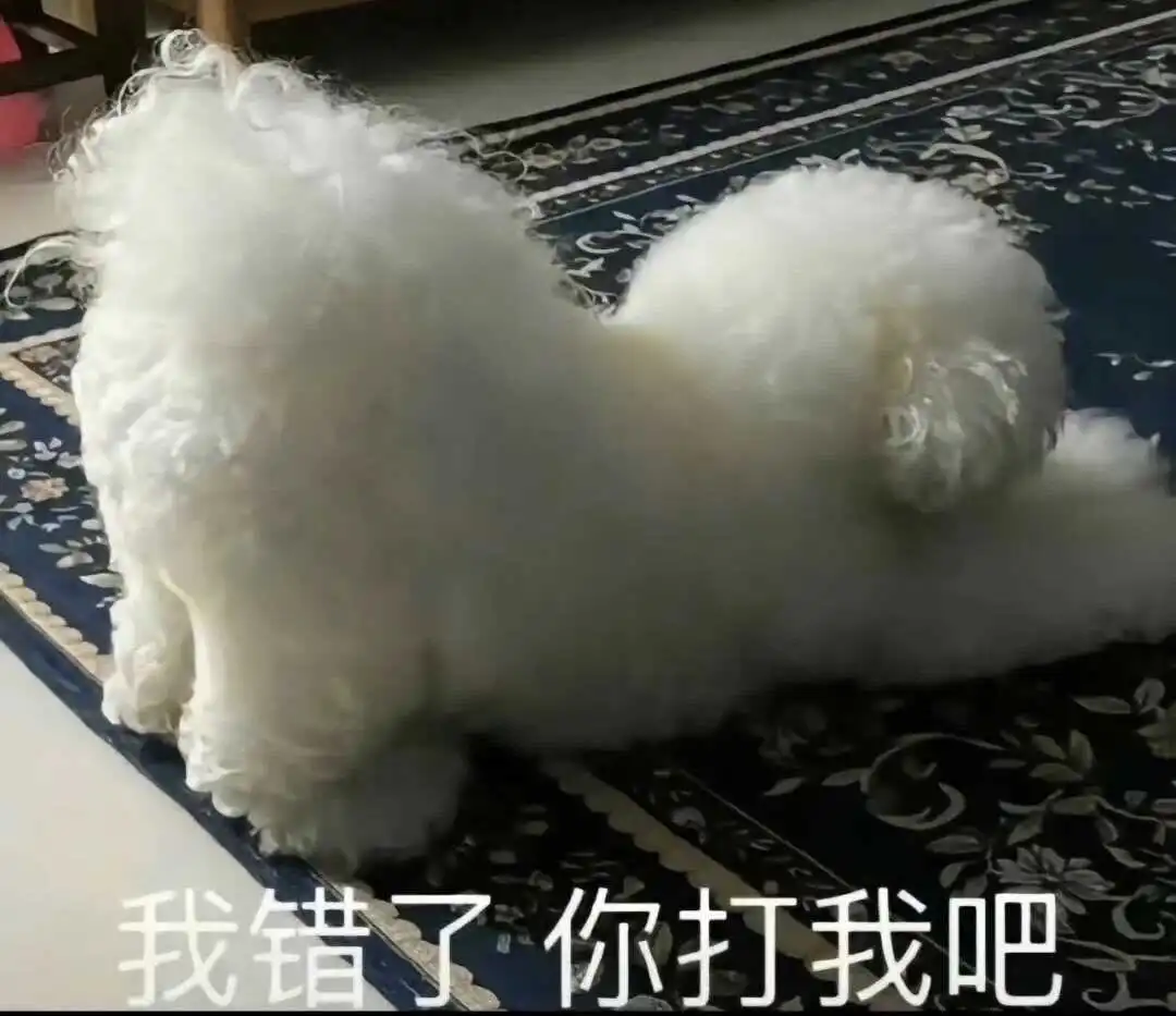 【西檬之家】TK在字母圈是什么？新人入圈必知安全知识