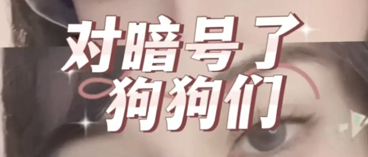 【西檬之家】小圈是什么意思？字母圈新人入门权威指南